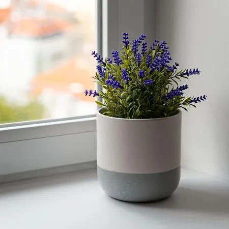 Апартаменти Gorgeous Rooftop 2-bed With Beautiful View