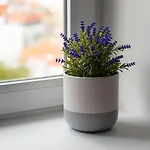 Apartman Gorgeous Rooftop 2-bed With Beautiful View