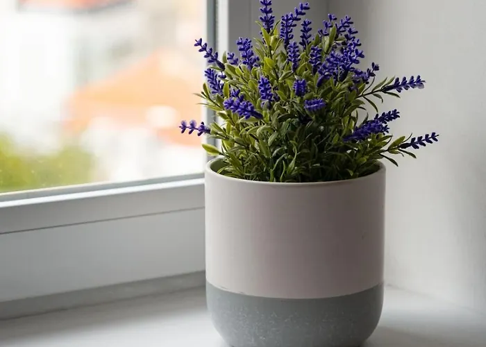 Apartment Gorgeous Rooftop 2-bed With Beautiful View